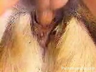 Naughty guy is using his cock to satisfy his horny dog